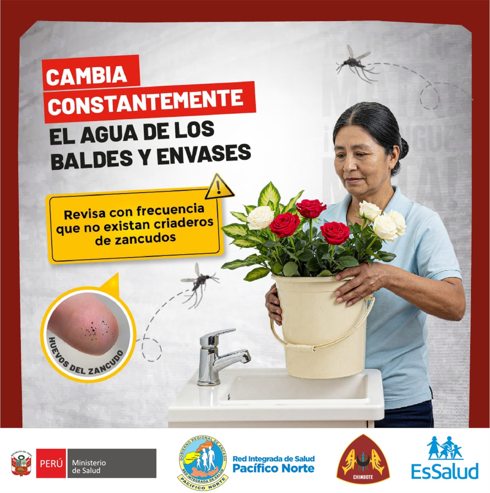 Campaña Dengue 4
