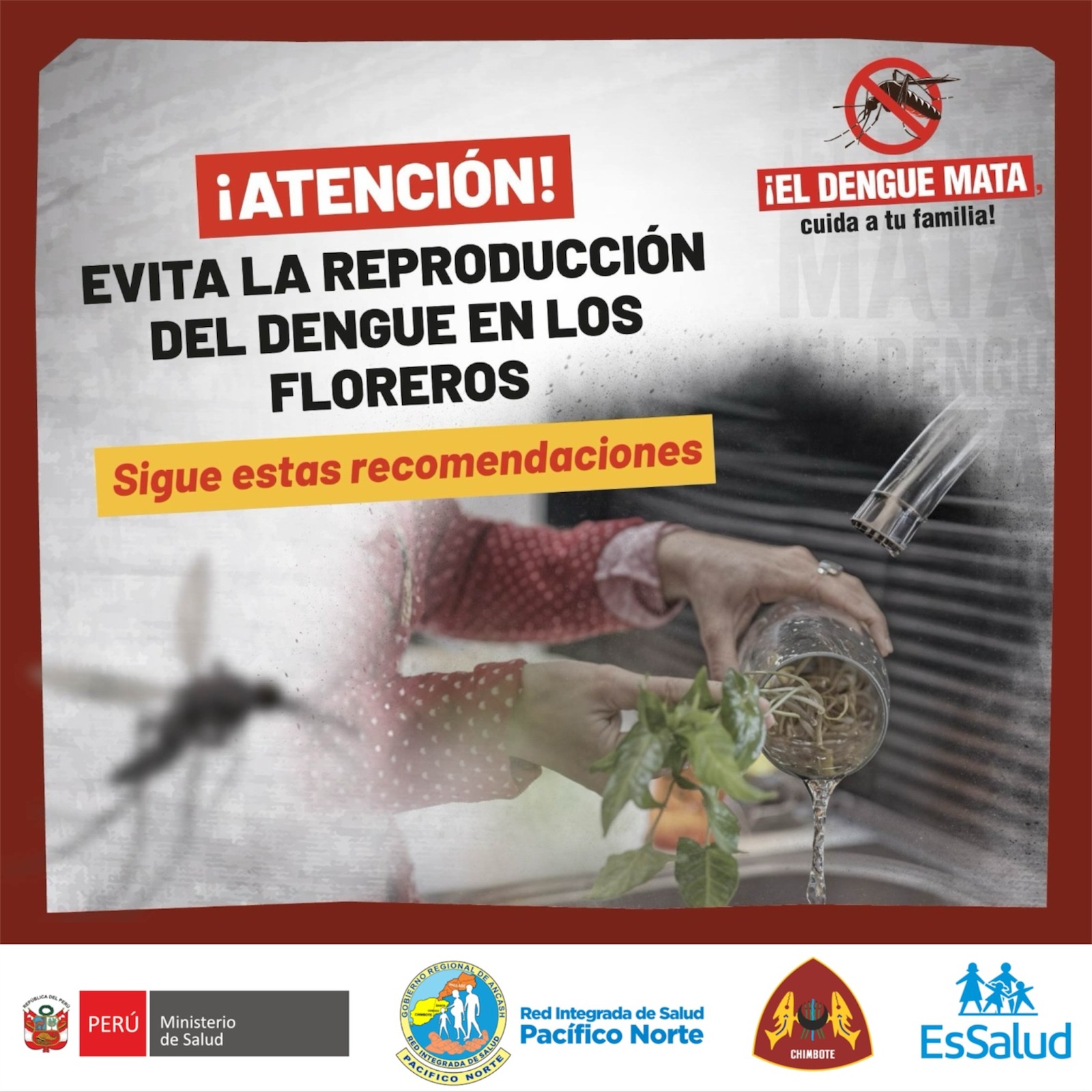 Campaña Dengue 5