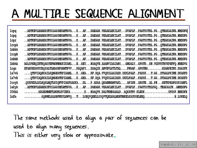 Pdf Parallel Multiple Sequence Alignment An Overview Dokumen Tips - High Quality Abstract Wallpaper - 4K