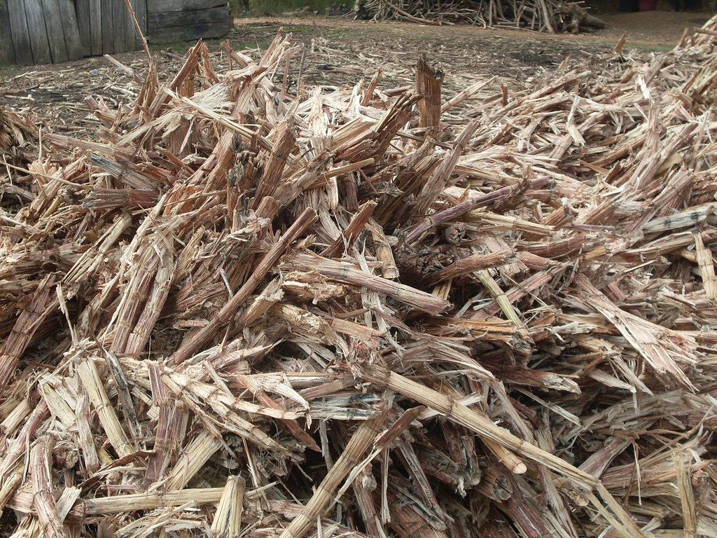 Investigadores de la UNAM desarrollan biomateriales con menor impacto ecológico