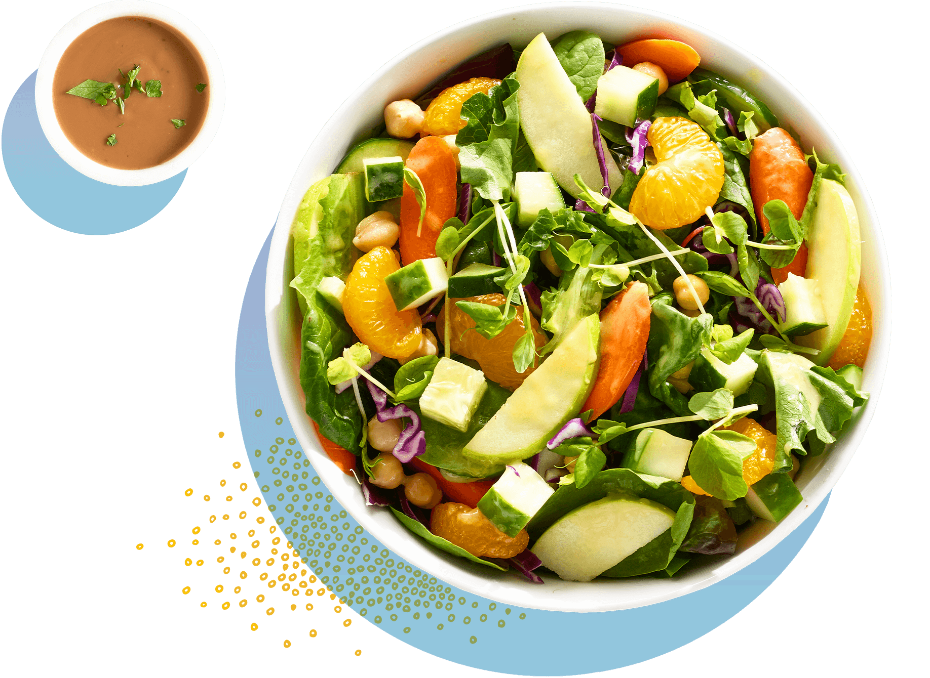 Home Salata Salad Bar