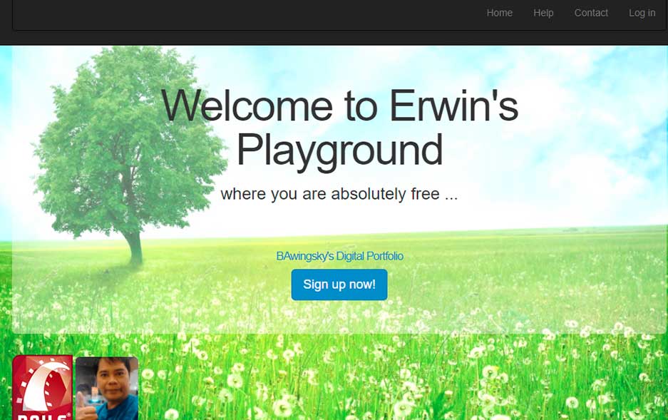 web portfolio 4