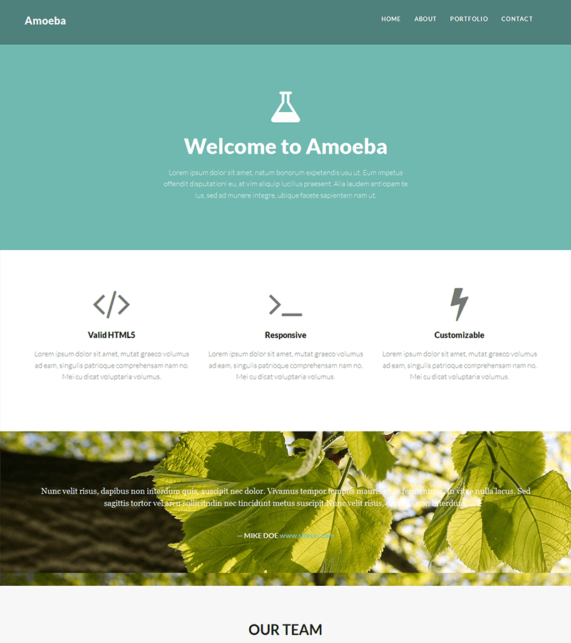 Free One Page Bootstrap Template Amoeba