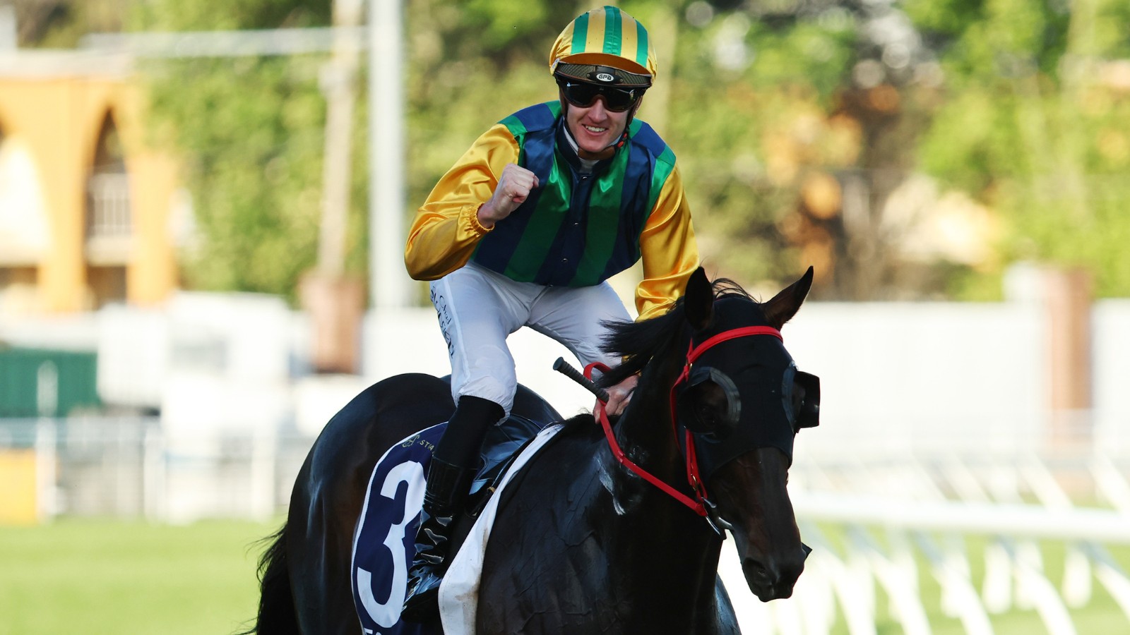 Ceolwulf vs Via Sistina: Joe Pride Wants Mile Showdown in Autumn Carnival Horse Racing (2025)