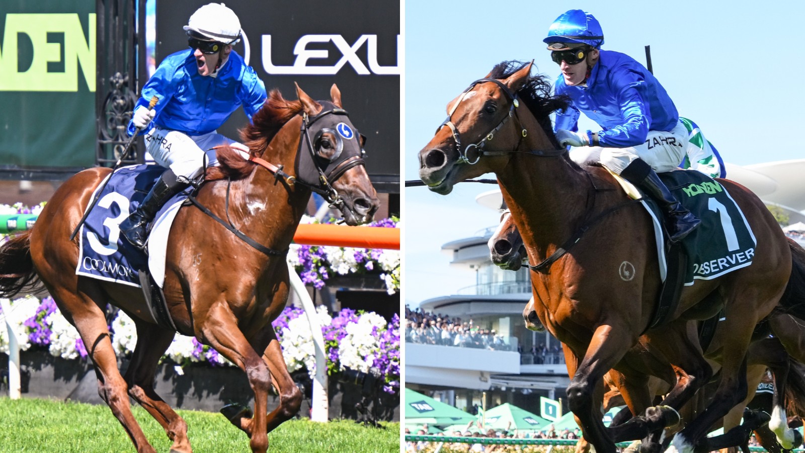 Godolphin Retires Star Colts Tentyris & Observer: Stud Careers Begin! (2026)