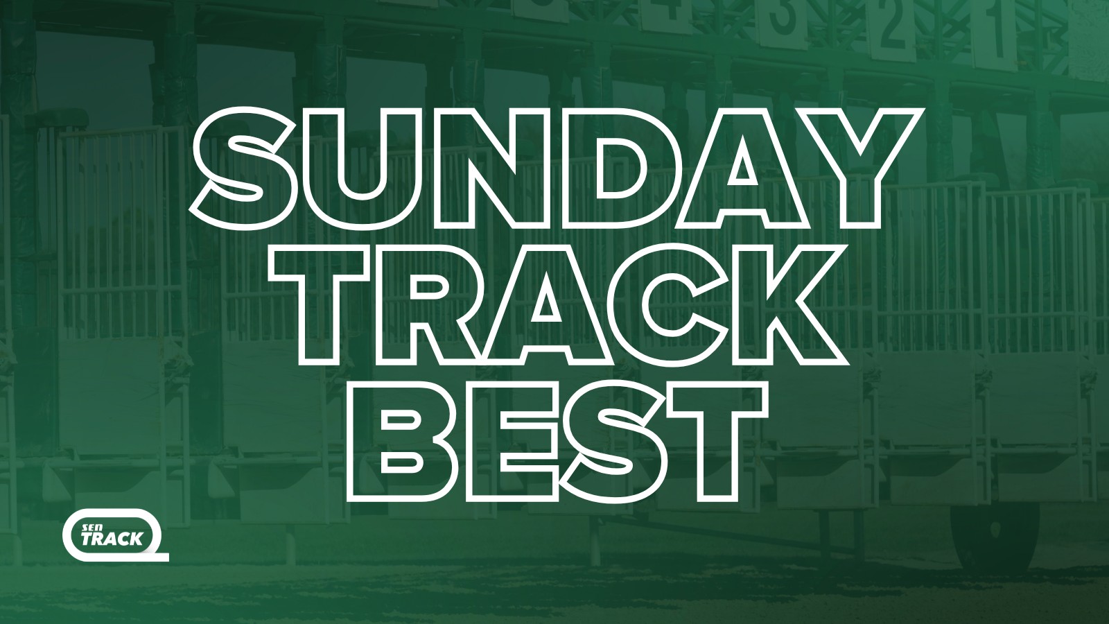 Sunday Best Bets: Pfitzner & Gannon's Top Picks for 19/07 - Sunshine Coast, Hawkesbury & More! (2026)