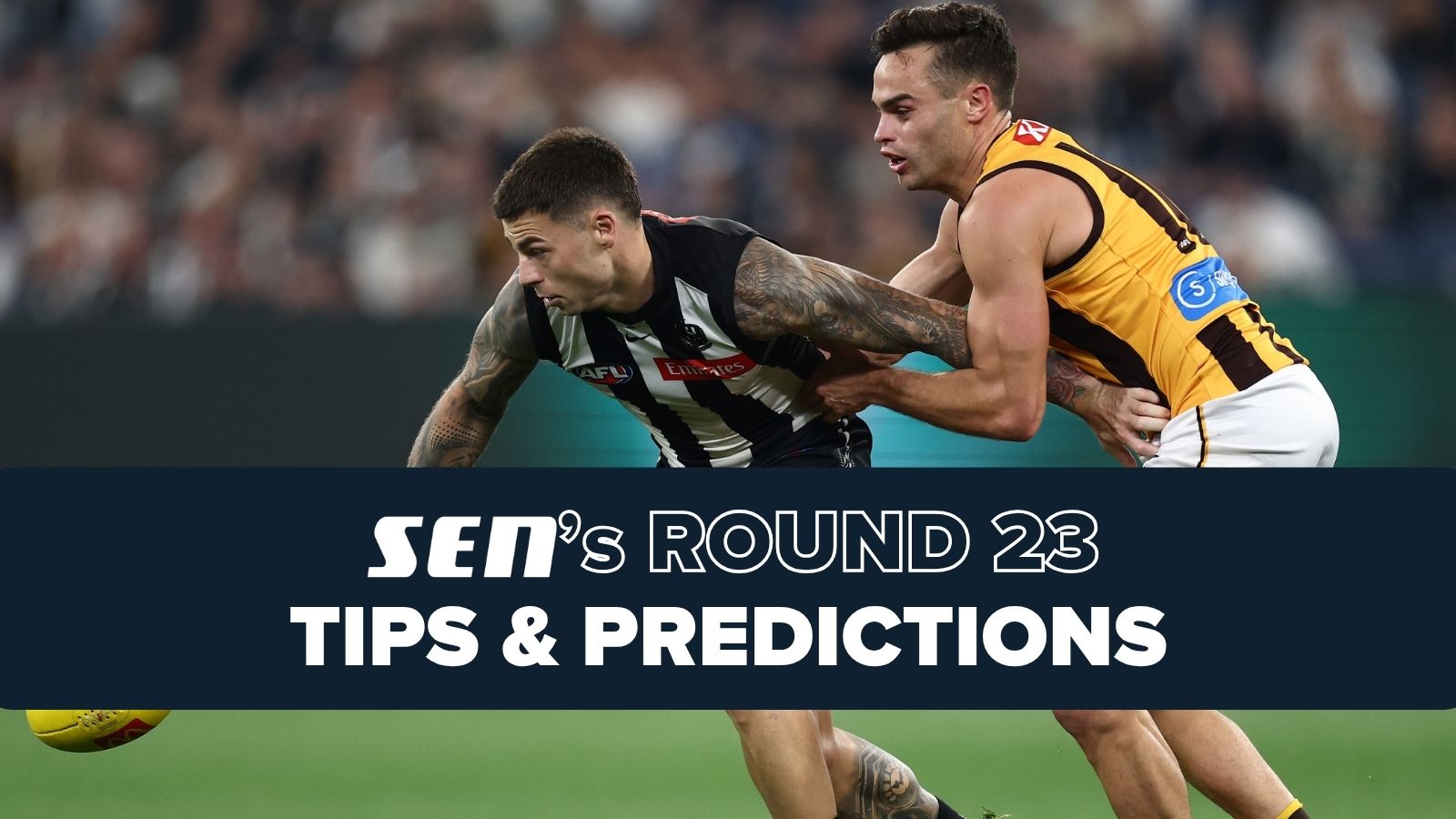 AFL Round 23, 2026: Expert Predictions & Match Previews (2026)