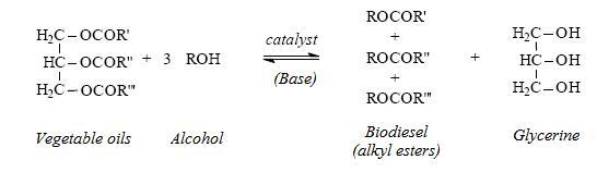 The Potential Of Jatropha Oil Energy Technology Policy