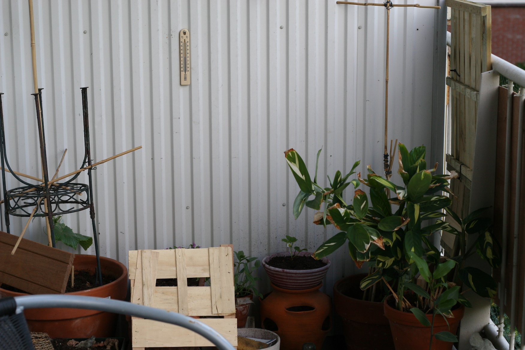 Moestuin op balkon