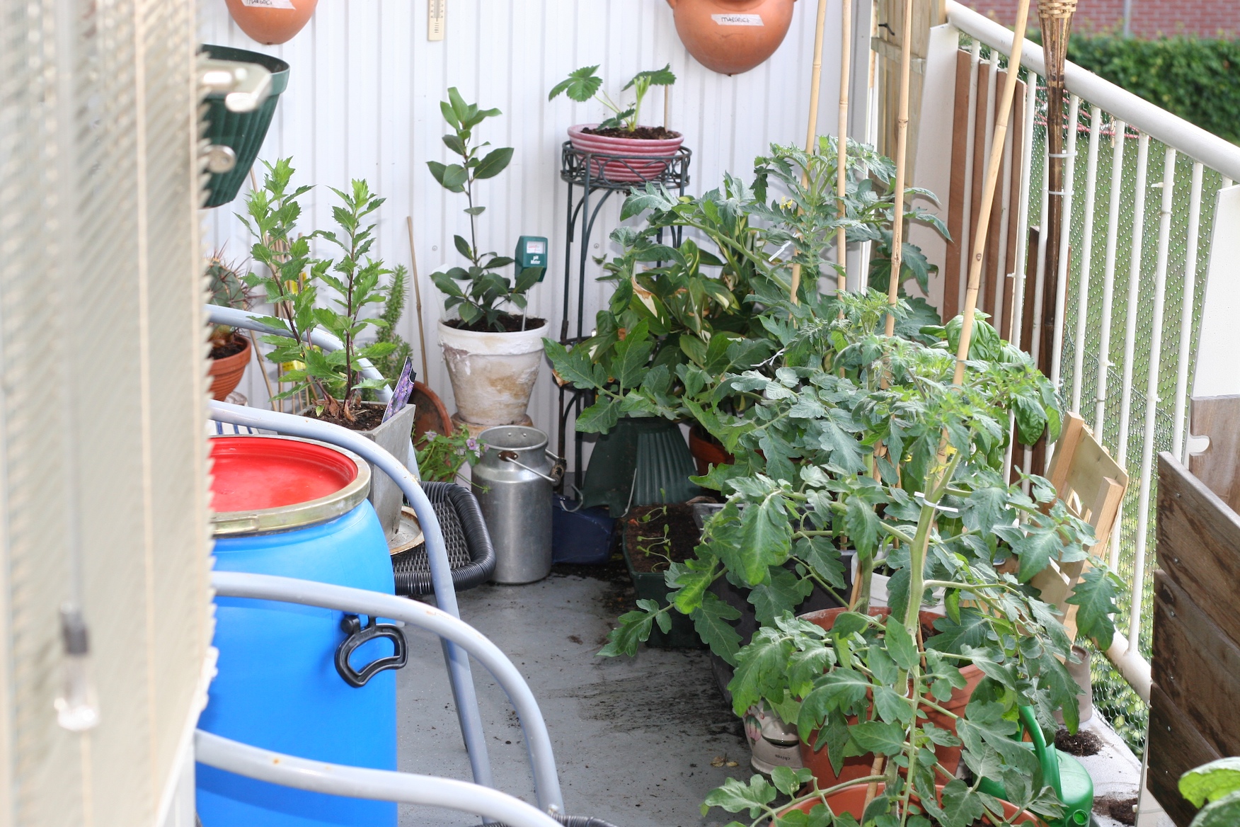 Moestuin op balkon