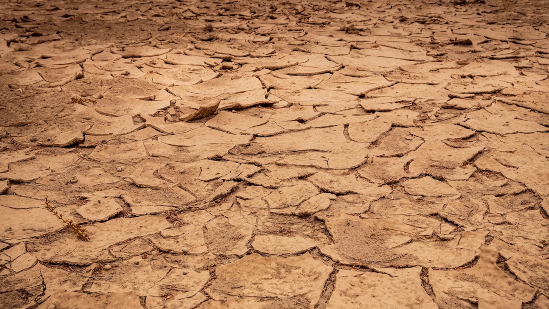 Emiten declaratoria de emergencia por sequía severa en México