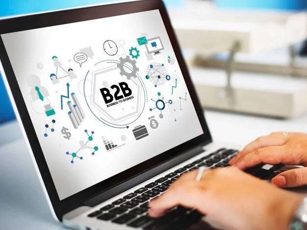 What is B2B Digital Marketing?