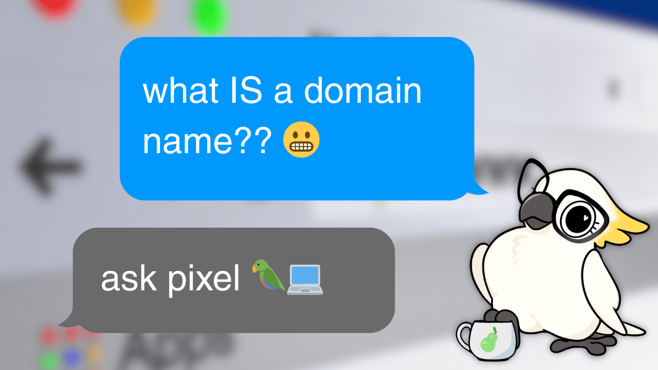 Ask Pixel Meta Images