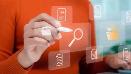 Magento 2 B2B Discovery & Hyvä Implementation Strategy for Scalable Growth case study - WebDesk Solution