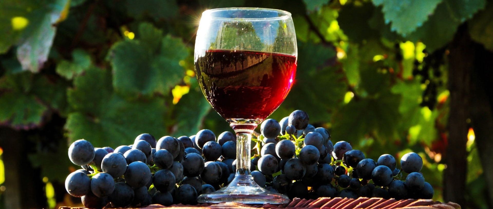 vino