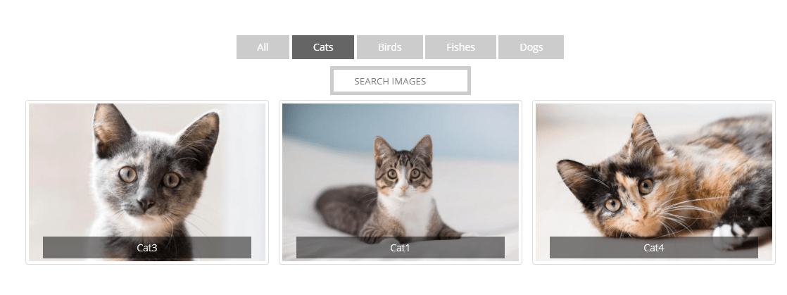 portfolio filter gallery screenshot