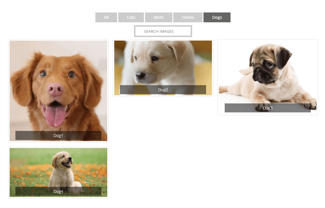 portfolio filter gallery screenshot