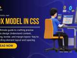 The Box Model In Css Complete Guide To Content Padding Margin Width