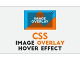Css Image Overlay Effects On Hover 8 Different Direction Overlay