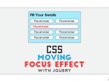 Css Moving Input Focus Effect With Jquery Inputs In Signup Form