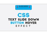 Css Wacom Button Hover Effect Text Slide Down On Hover