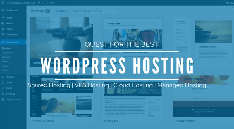 Best Wordpress Web Hosting For Simple Websites Talal Masood - Premium Nature Design Gallery - High Resolution