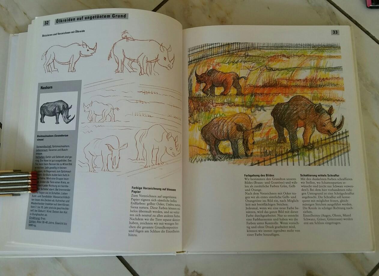 Cartoon Grundlagen Die Geheimnisse Beim Zeichnen Von Tieren Design Illustration Website Entwicklung Computerspiele Und Mobile Anwendungen