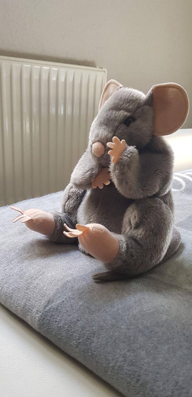 Phantasievoll gestaltete formen, farben und motive verzaubern sowohl klein als auch groß. Handpuppe Maus in 69124 Heidelberg fÃ¼r 10,00 â‚¬ zum