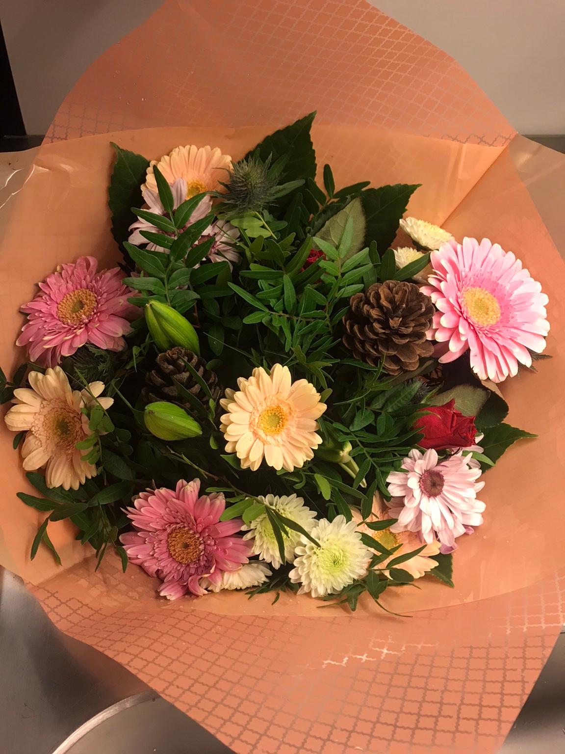 Ein großes angebot an mietwohnungen in speyer finden sie bei immoscout24. 46+ inspirierend Sammlung Wohnungen Lingenfeld / Wohn- und