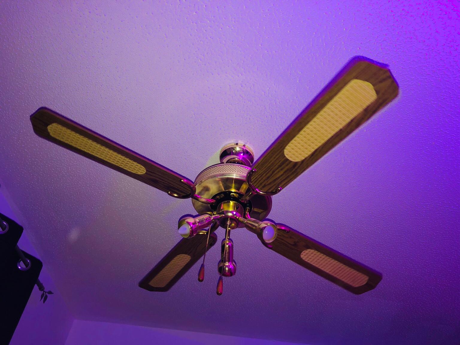 Choosing a ceiling fan is enough to make any homeowner's head hurt. Ceiling fan in M16 Trafford for Â£20.00 for sale | Shpock