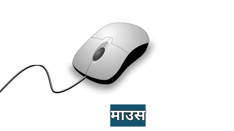 Basic Computer Knowledge In Hindi Webkhoj - Perfect Minimal Background - 8K