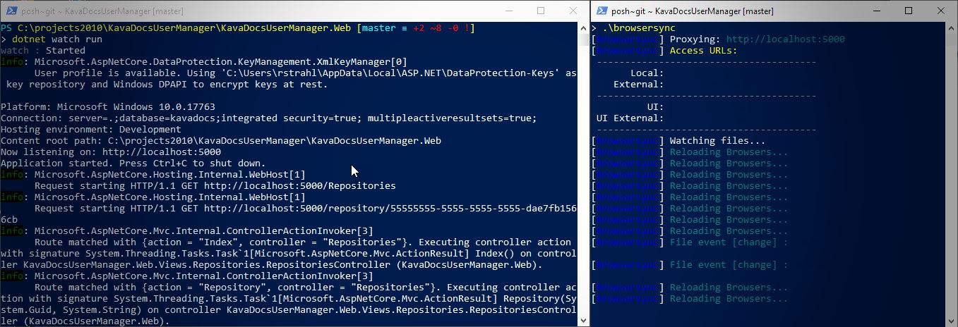 Live Reloading Server And Client Side ASP.NET Core Apps with BrowserSync -  Rick Strahl’s Web Log