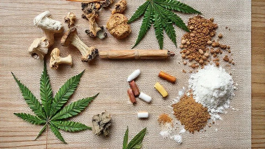 What Recreational Drugs Reveal About the Mind