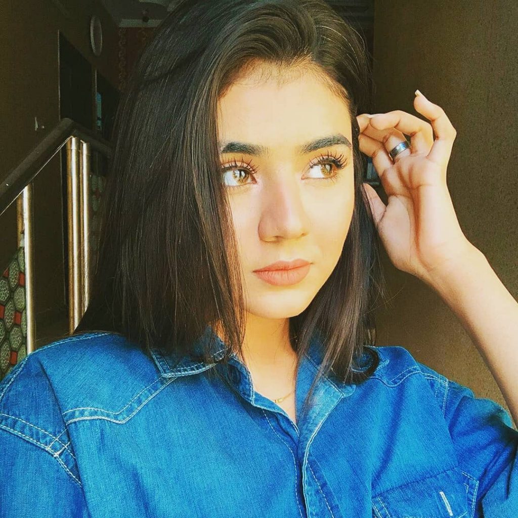 Shahrukh Khan Age 2021 : Areeka Haq's Biography, Age, Height, TikTok, Instagram