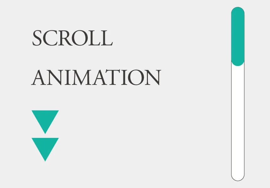 scroll animation