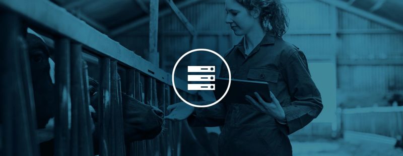 Cdw Cloud Seminar Stadium Tour Beyondtrust - Premium Light Illustration - High Resolution