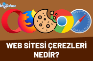 Çerezler Nedir? İnternette Gezinirken Sürekli Karşımıza Çıkan Cookies Ne İşe Yarar? Çerezler zararlı mıdır?