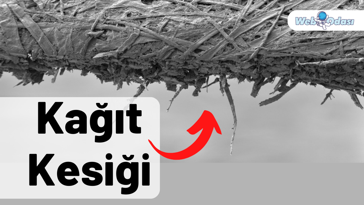 Kağıt Kesiği Neden Çok Acıtır