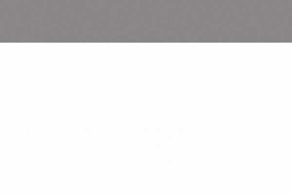 SEO FAST WEB SITE: Web Pro Dev Consulting LLC