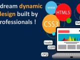 Dynamic Website Designing Company Noida Webscruise