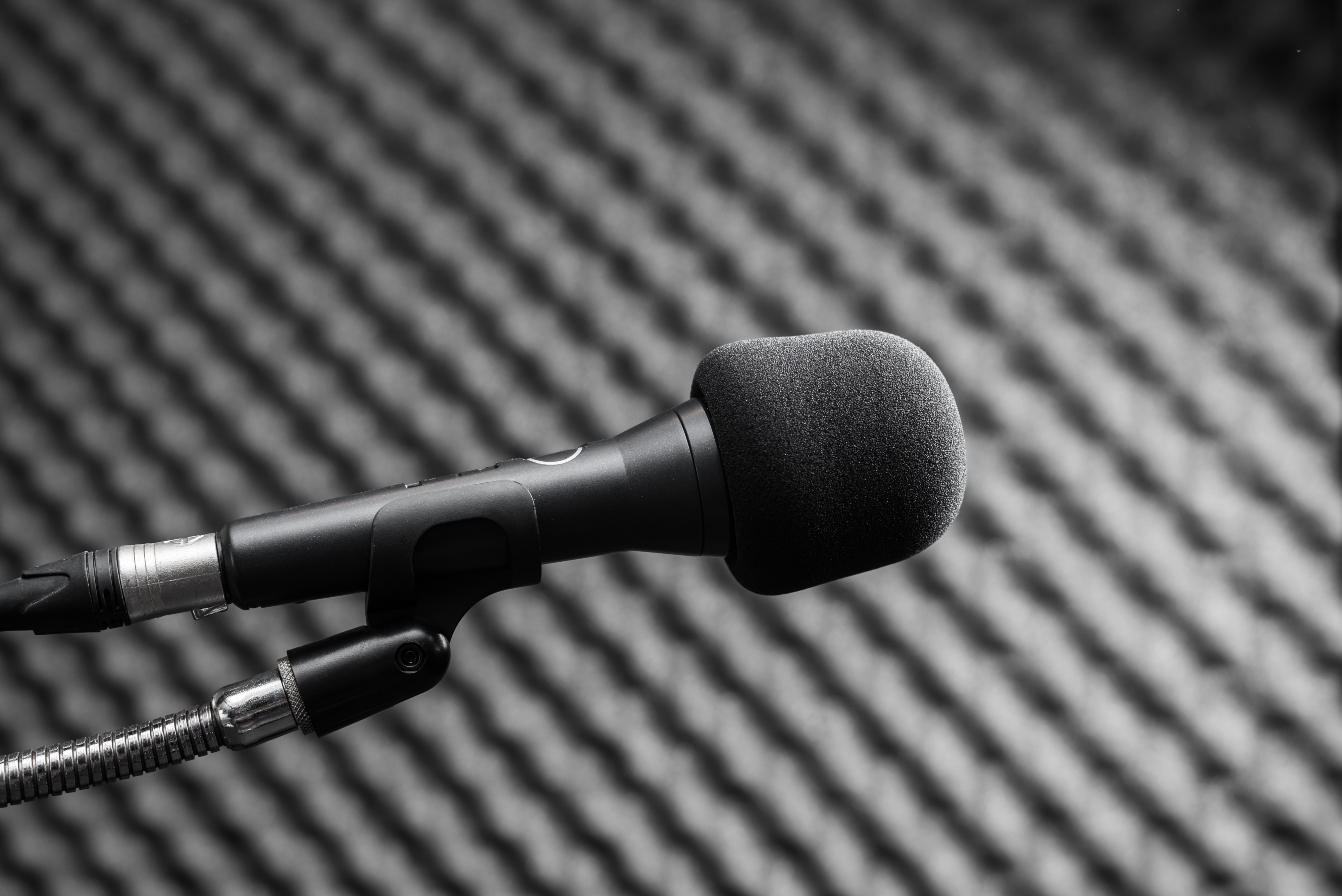Whats The Best Voice Over Microphone On 