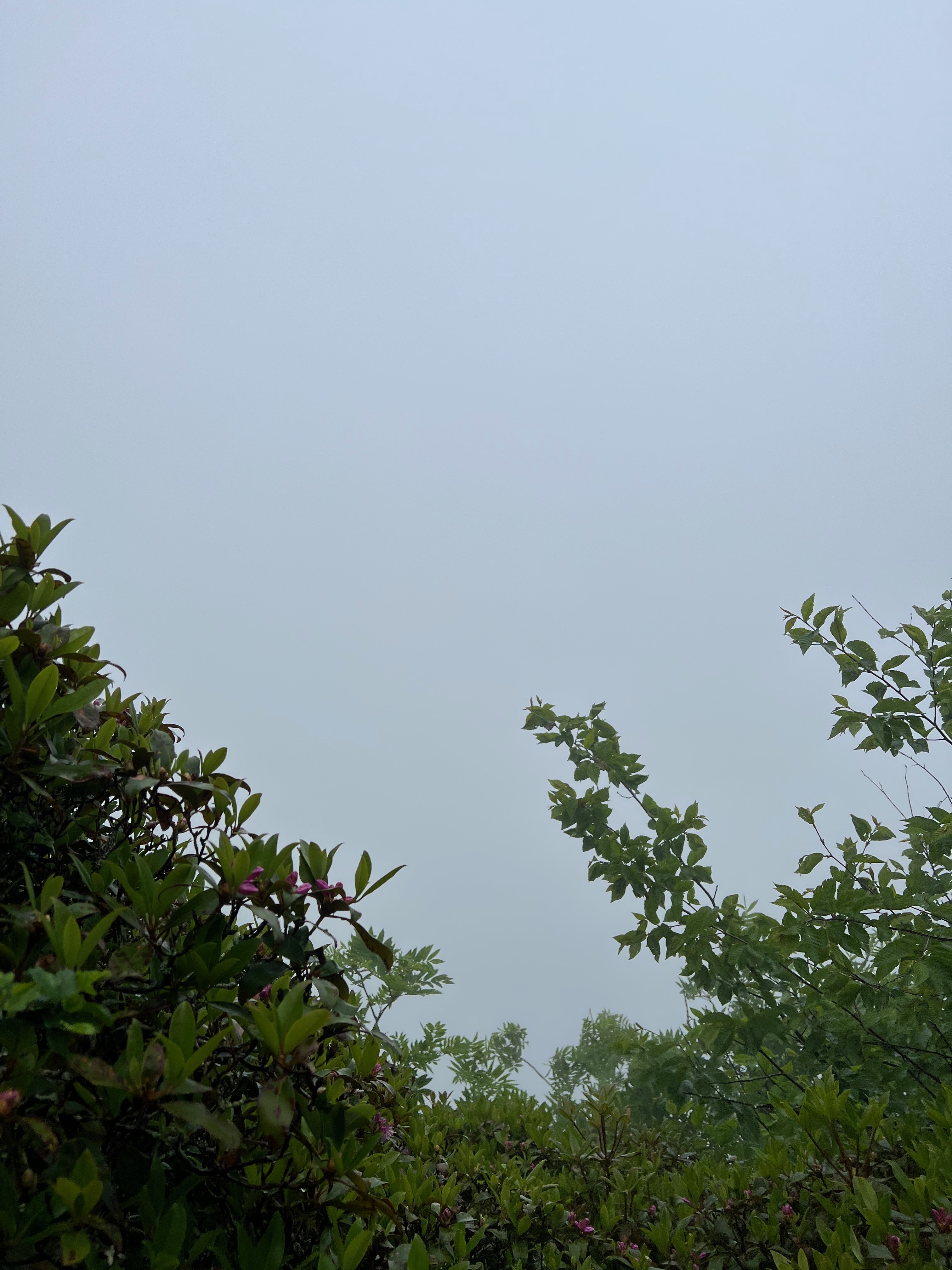 img 3662