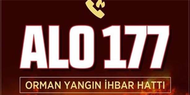 Orman yangınlarını önlemek için neler yapılabilir?