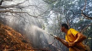 Orman yangınlarını önlemek için neler yapılabilir?