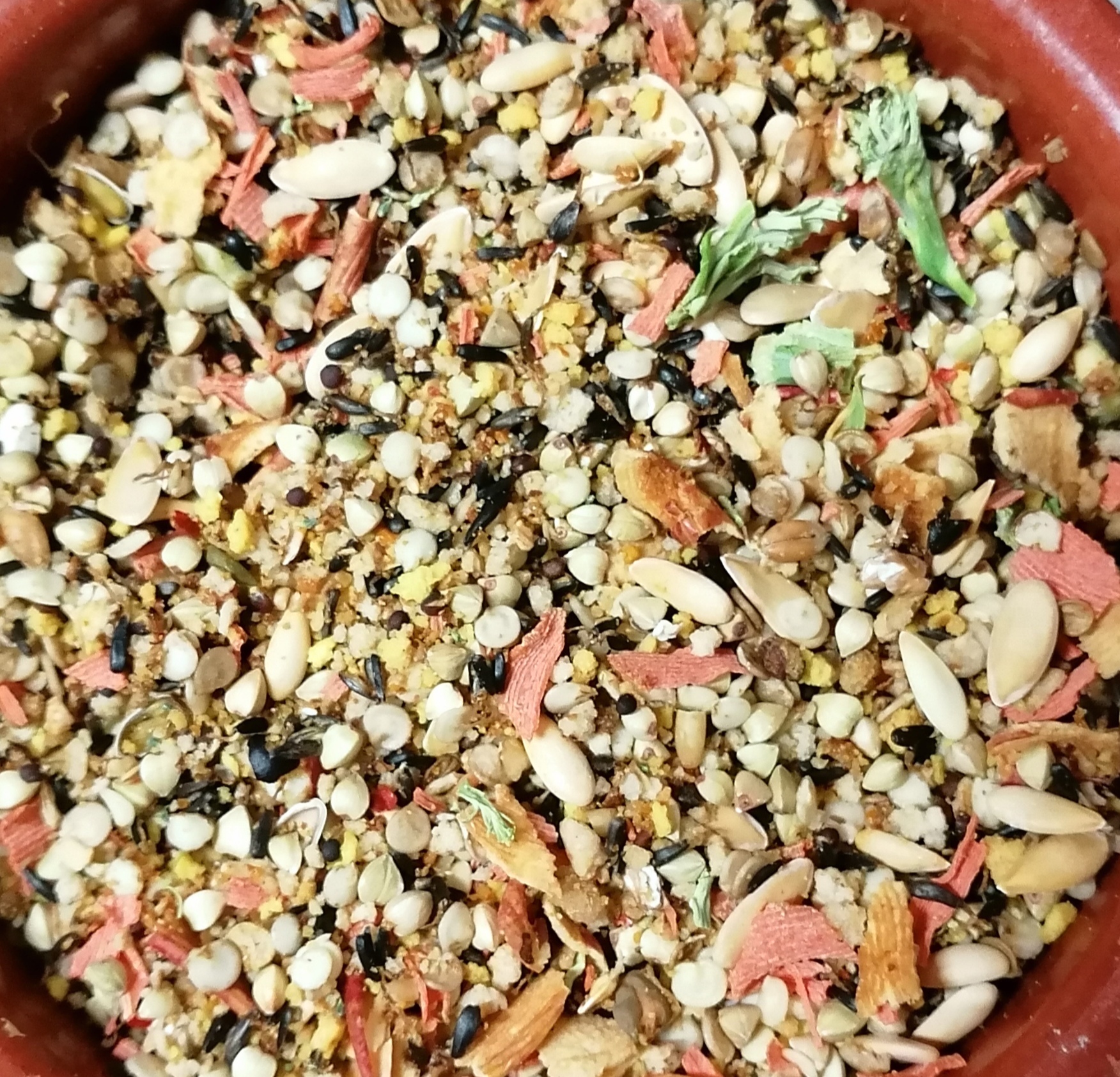 Con pasta CÉ-DÉ psitácidas, pipa de Melón, semillas de Pimiento, Brócoli y Zanahoria desecados