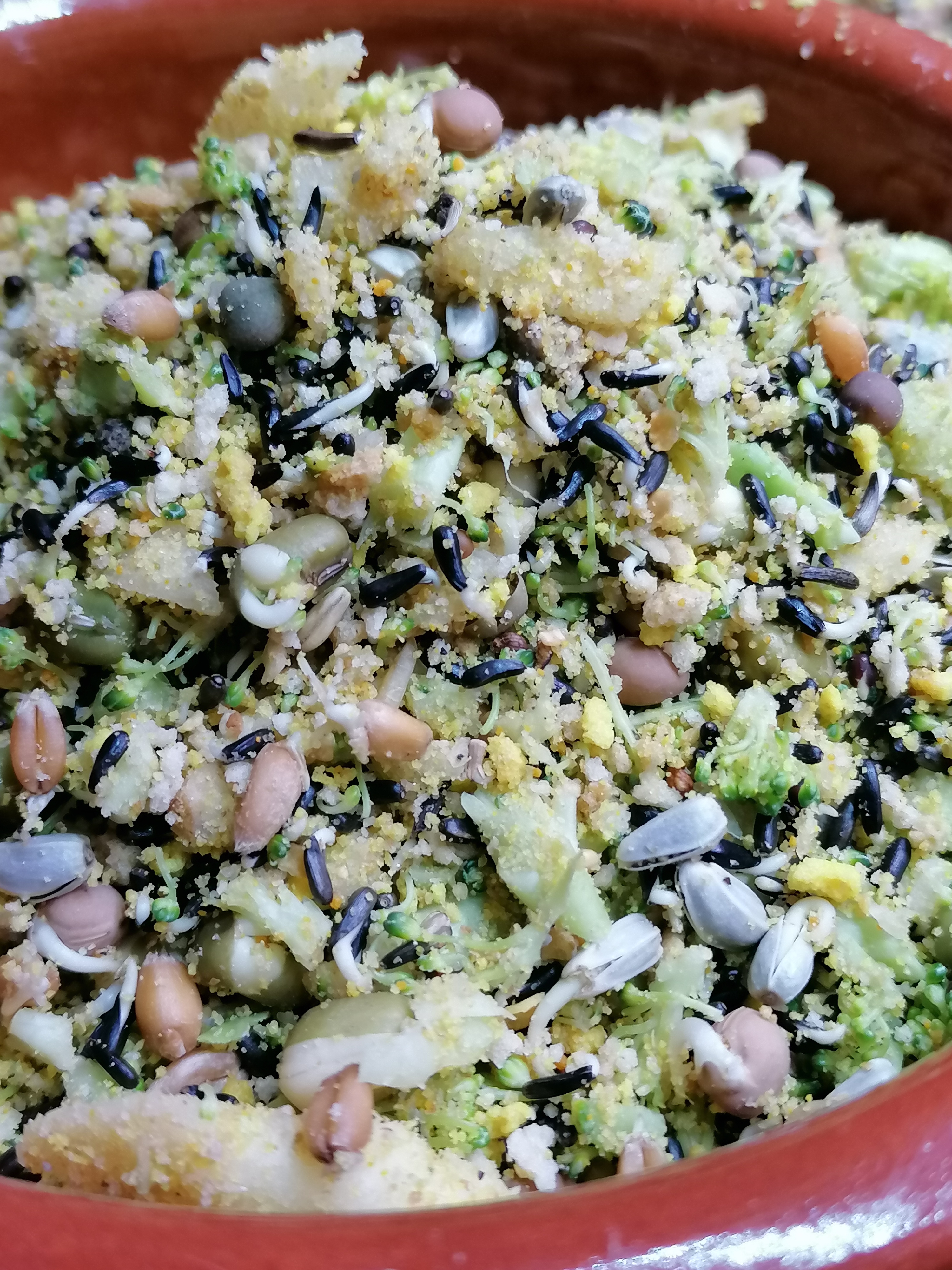 Con pasta CÉ-DÉ Psitácidas, Brócoli y Manzana