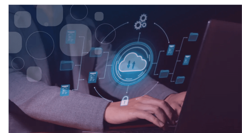 Web Based Databases We Build Databases - Premium Ocean Design Gallery - High Resolution