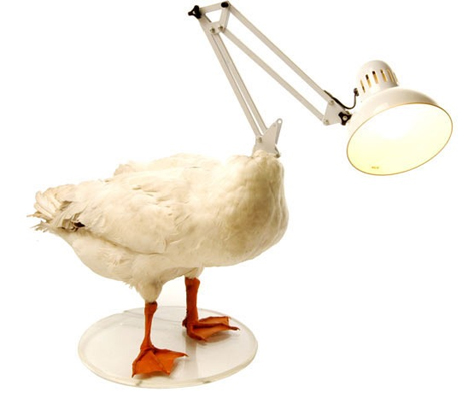 Duck Lamp Duck Lamp
