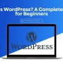 What Is WordPress? A Beginner's Guide