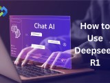 How To Use Deepseek R1 Webzeto